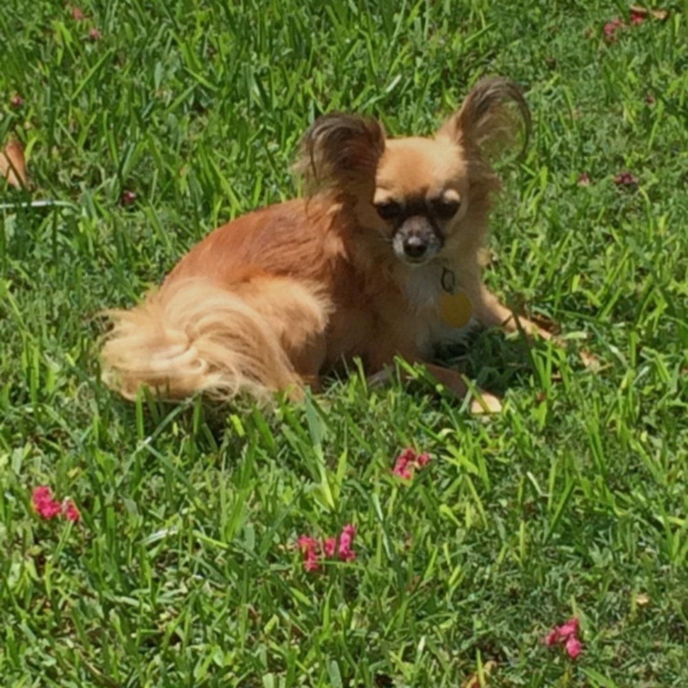 Meet your Posher, Emily