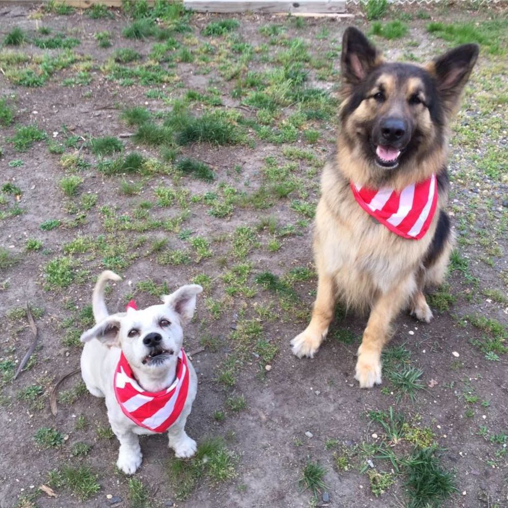 Meet your Posher, Jessi