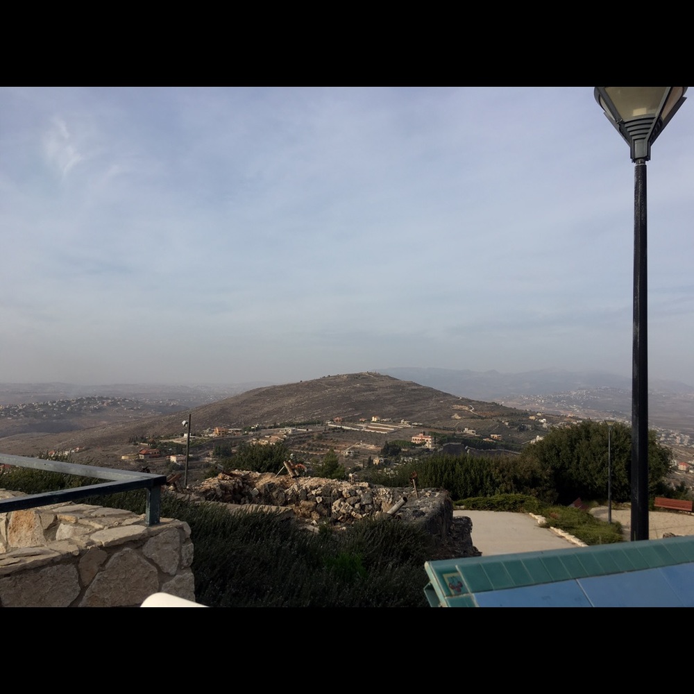 Meet your Posher, Rhiannon