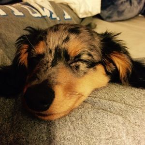 Meet your Posher, Glenda