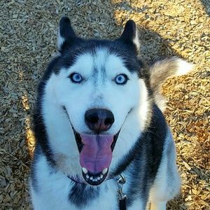 Meet your Posher, Breanna