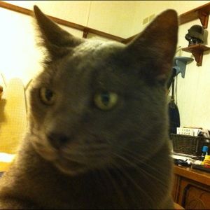 Meet your Posher, Delinda