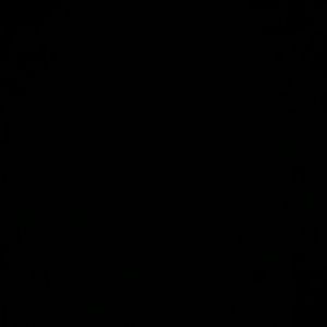 Meet your Posher, Cheyenne