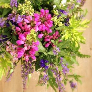 Meet your Posher, Rahel