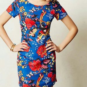 Tracy Reese birds of paradise floral dress