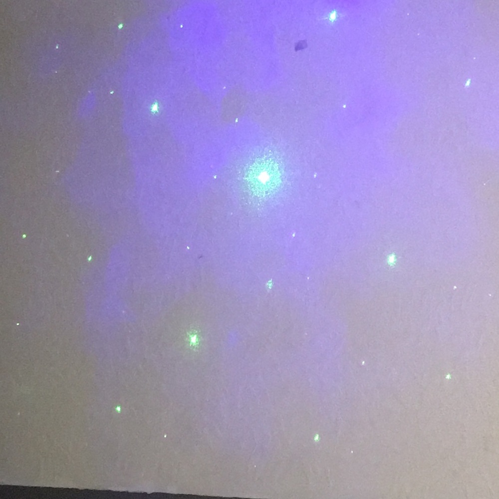 Meet your Posher, Logan