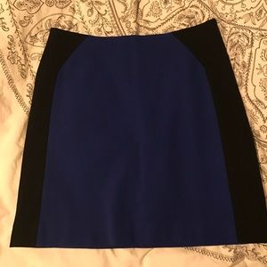 Ann Taylor Color Block Skirt