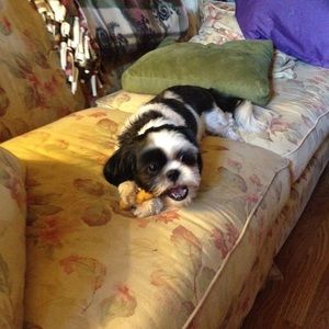 Meet your Posher, Mary