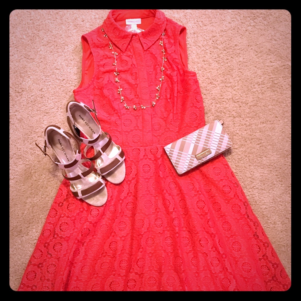 Gorgeous & feminine coral dress with lace detail