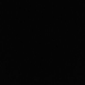 Meet your Posher, Avery