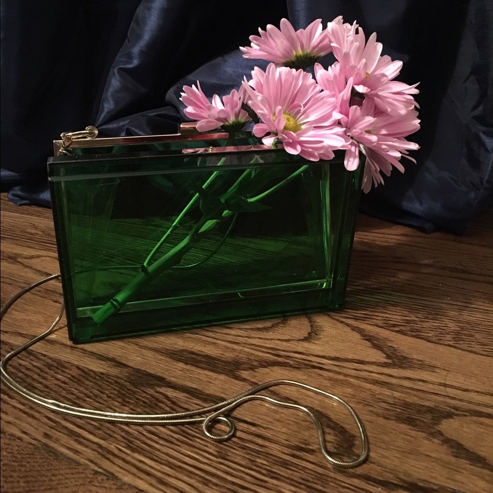 Lucite/acrylic clutch/purse