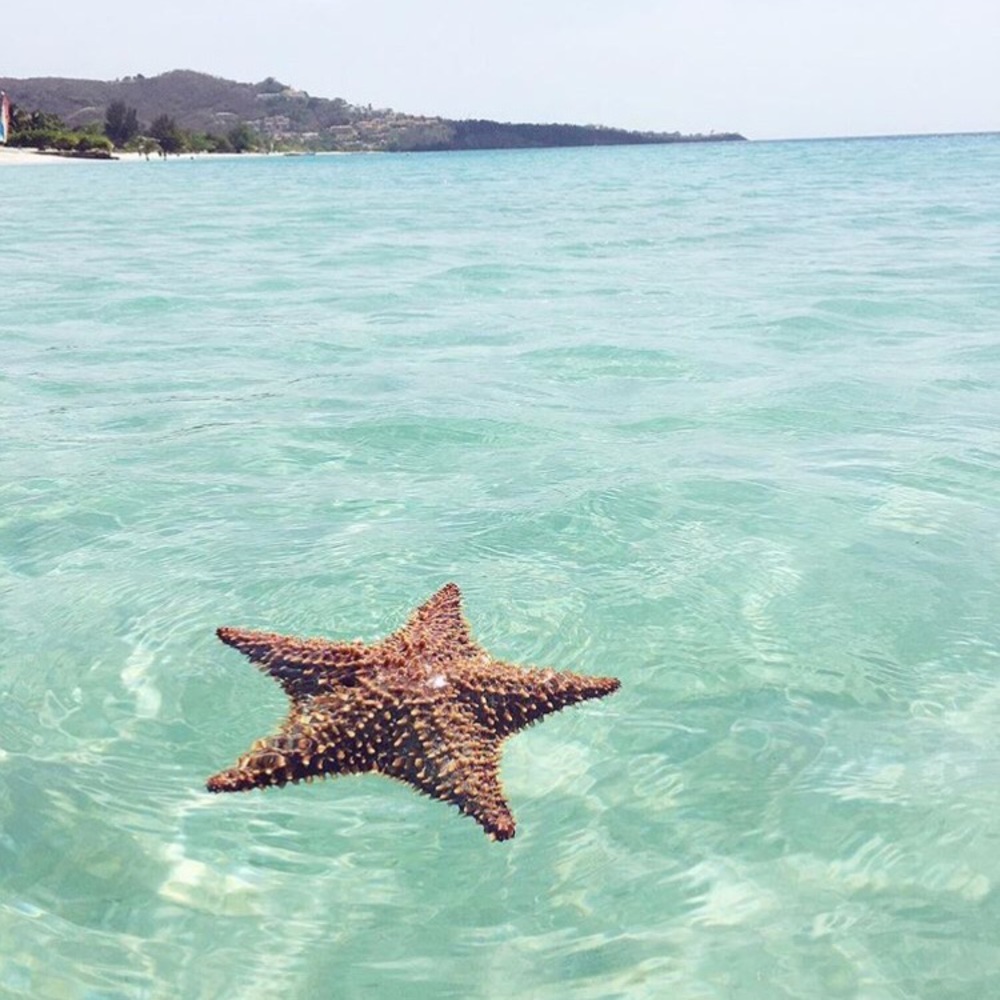 Feel free to leave some offers!:)