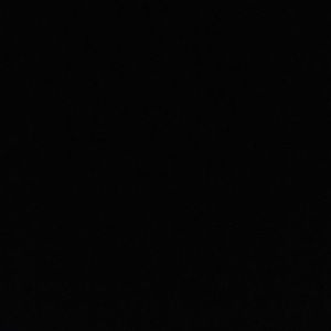 Meet your Posher, Samuel