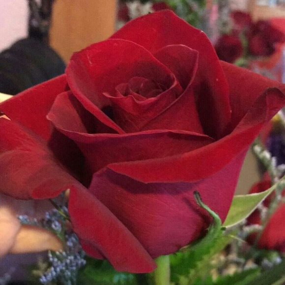 Meet your Posher, Luzmaria - Picture 2 of 6