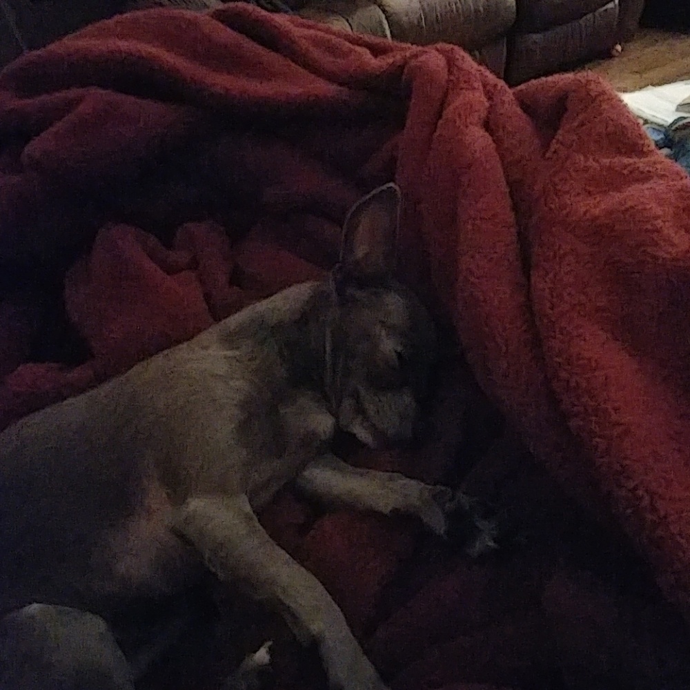 Meet your Posher, Linda