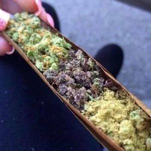 Meet your Posher, Gary