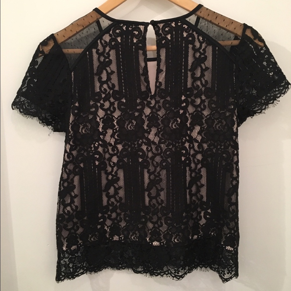 Express Top - Picture 2 of 5