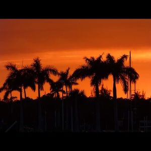 Meet your Posher, Ginger