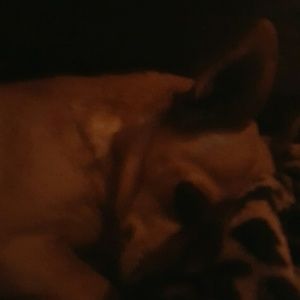 Meet your Posher, Beverly