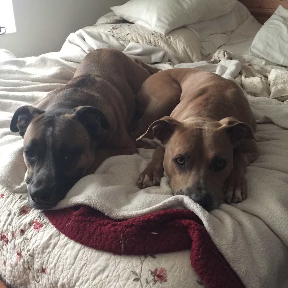 Meet your Posher, Linda