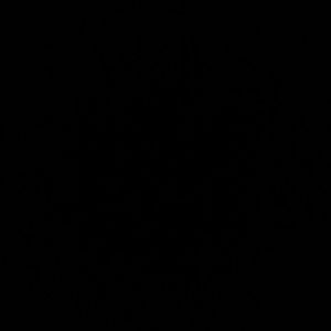 Meet your Posher, Hailey