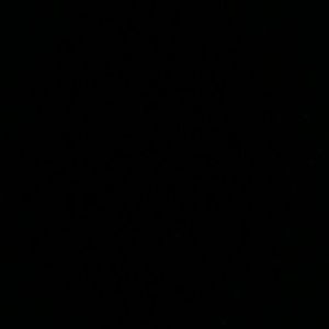 Meet your Posher, Paige