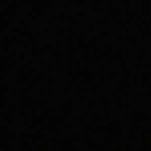 Meet your Posher, Caroll