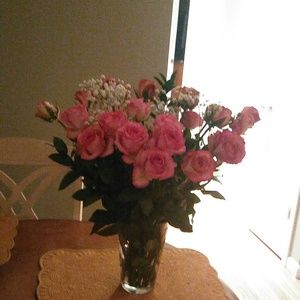 Meet your Posher, Ellen