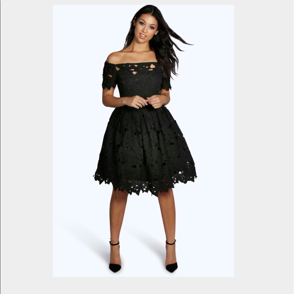 Beautiful Lace Skater Dress