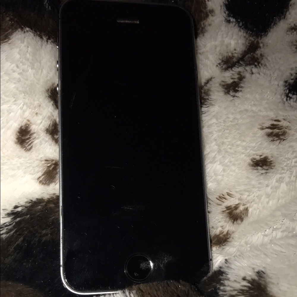 AT&T iPhone 5s