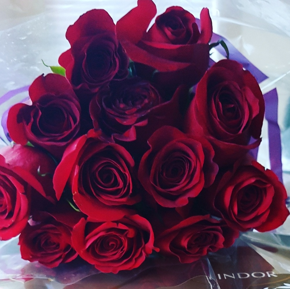 Meet your Posher, Ey