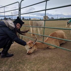 Meet your Posher, Ling