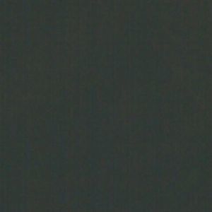 Meet your Posher, Amadeus