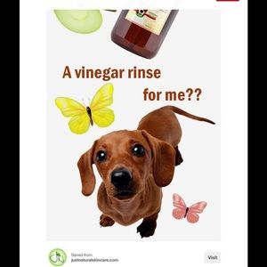 Meet your Posher, Terry