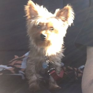 Meet your Posher, Tami