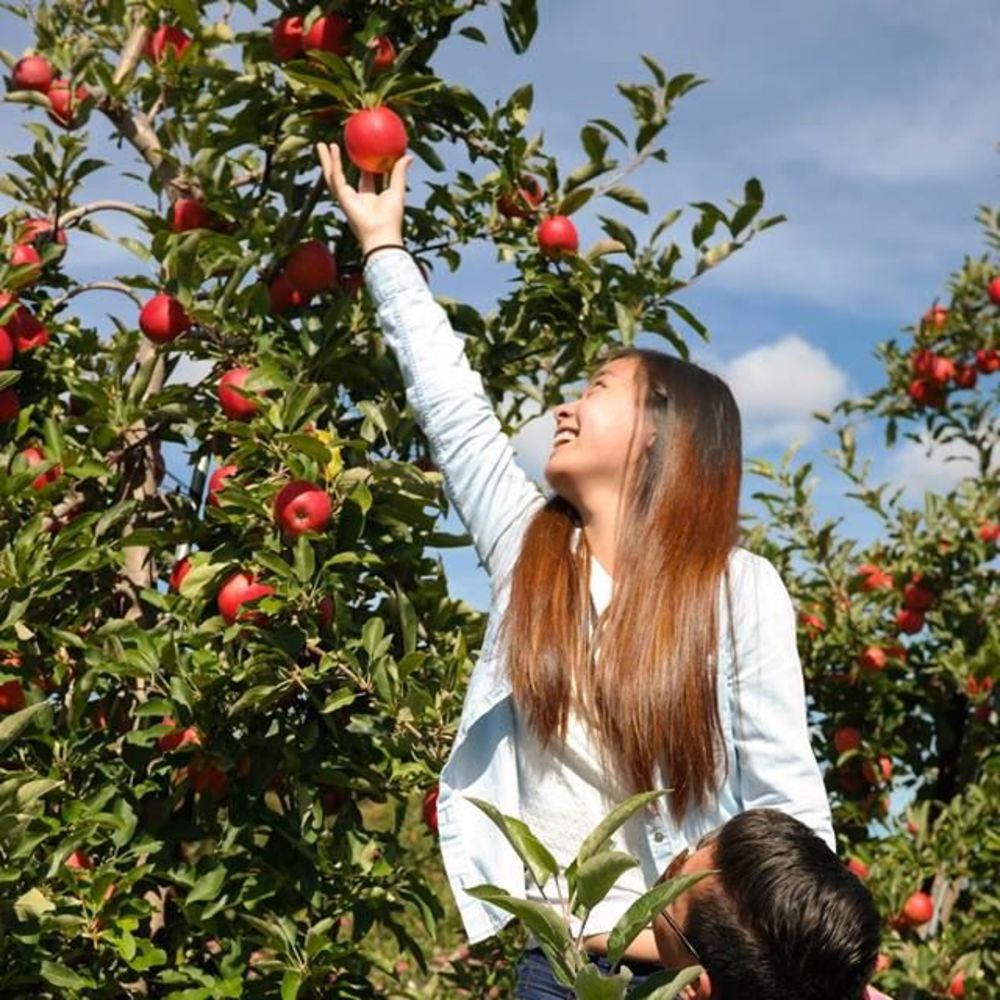 Meet your Posher, Zoe