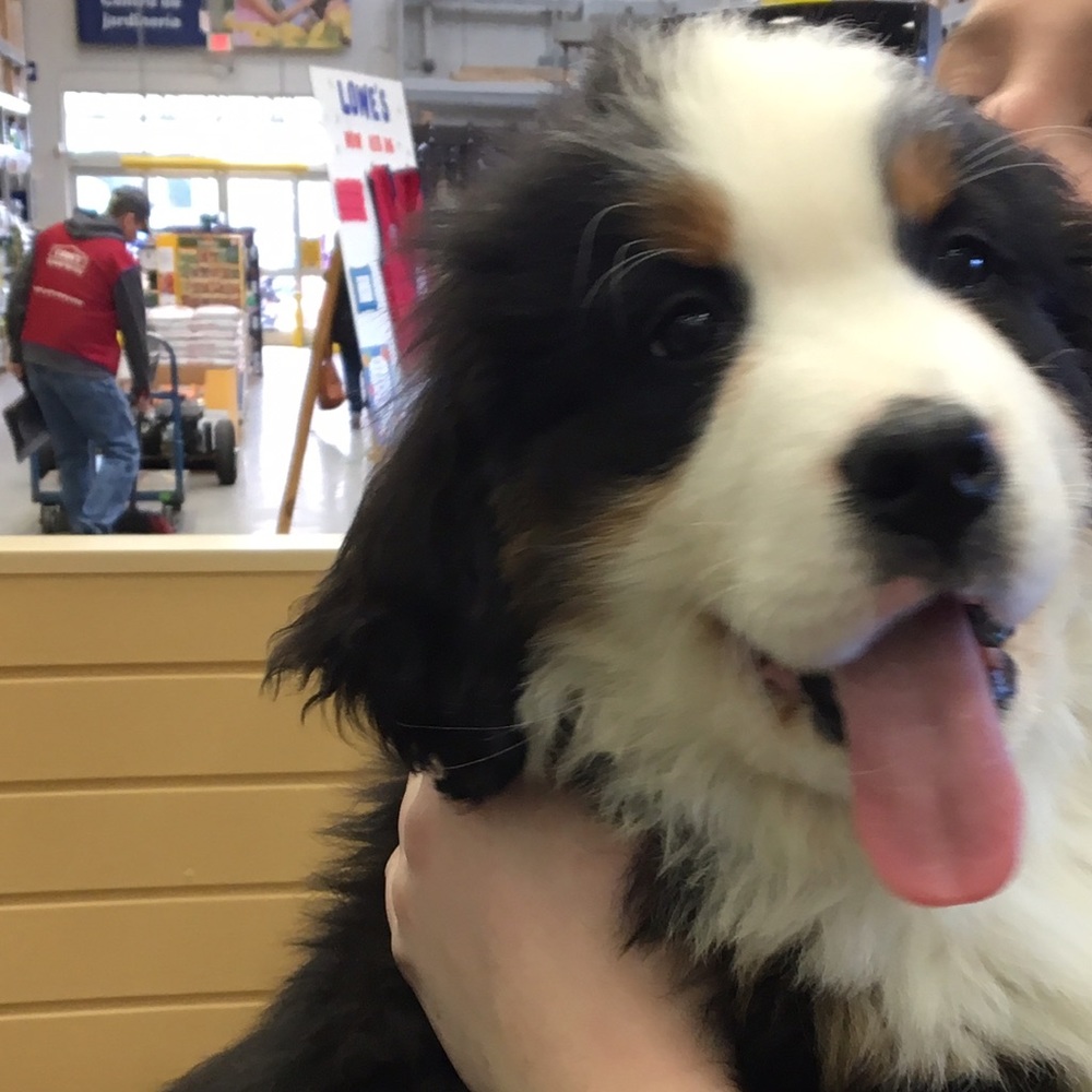 Meet your Posher, Khourey