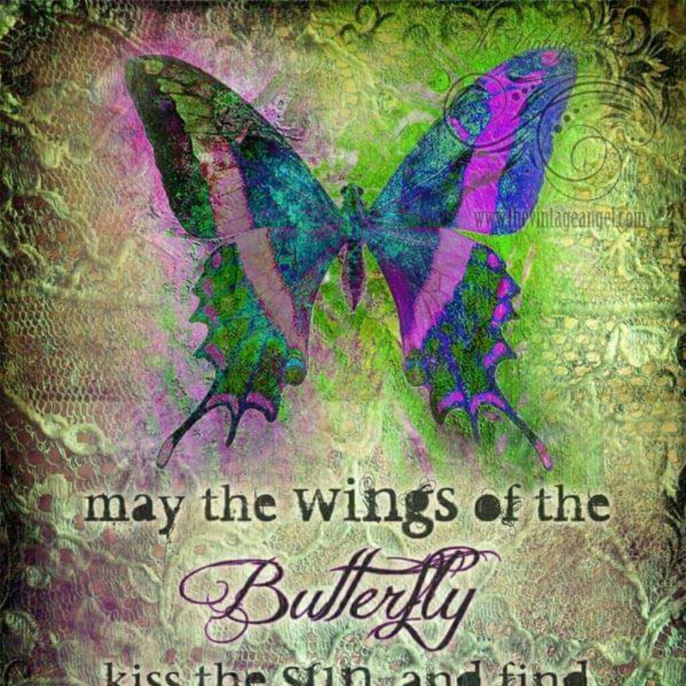 Meet your Posher, Carolyn