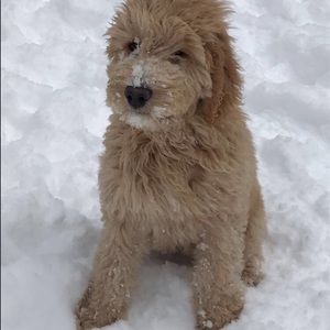 Meet your Posher, Stacey