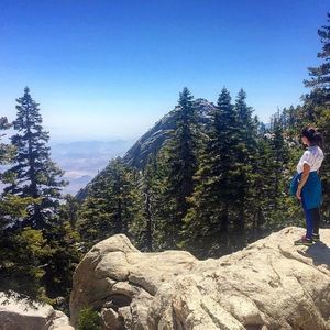 Meet your Posher, Annmarie