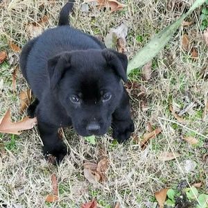 Meet your Posher, Alissa