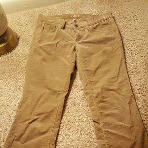 Modern sexy boot pants