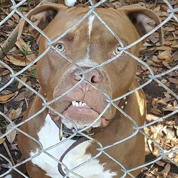 Meet your Posher, Taylor - Picture 1 of 1