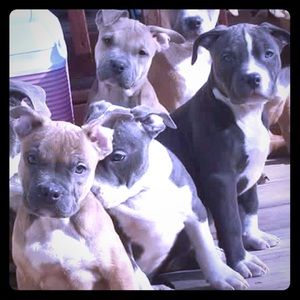 Meet your Posher, Marlene