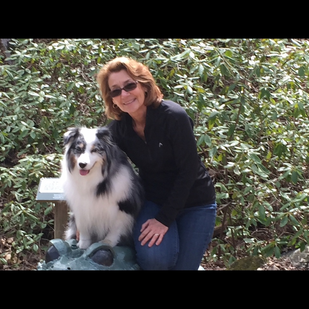 Meet your Posher, Ilene