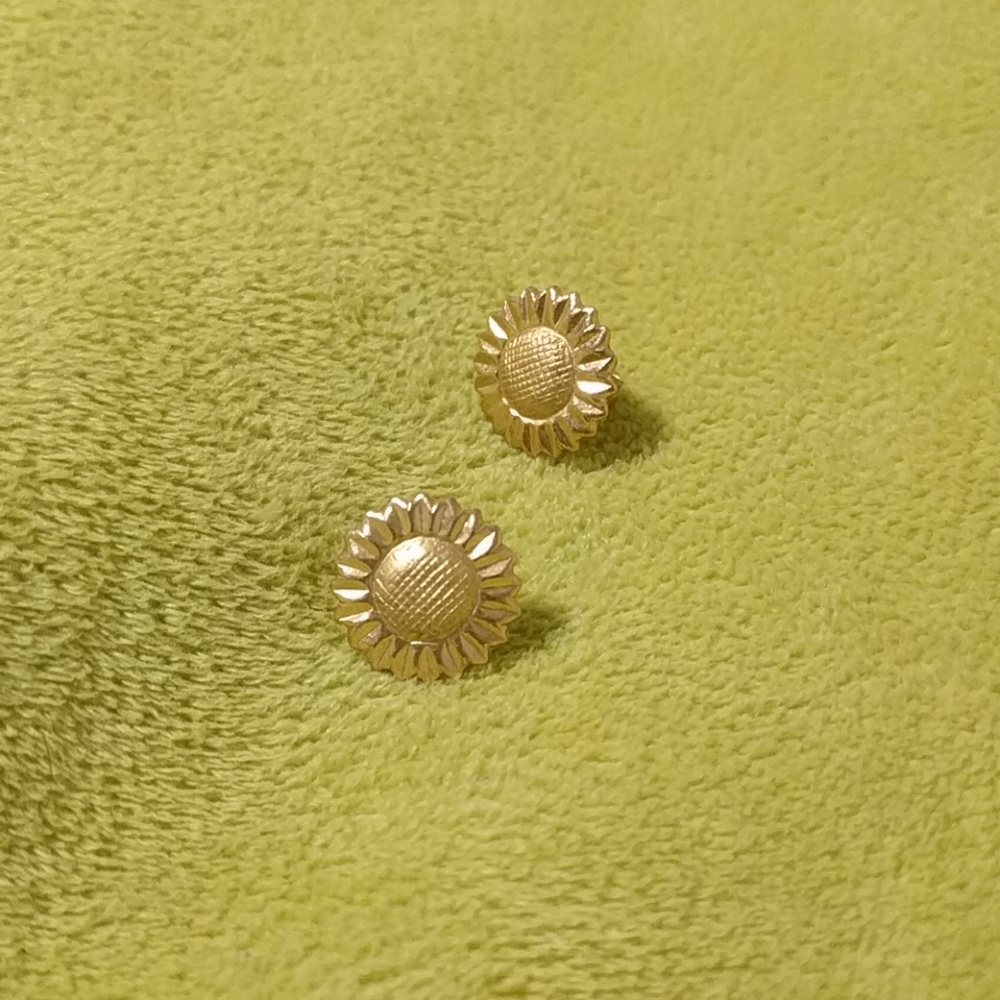 Sunflower earnings