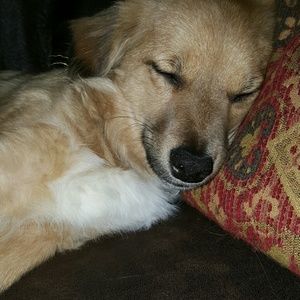 Meet your Posher, Lindsey