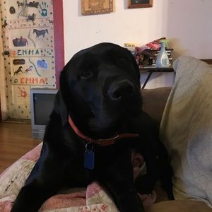 Meet your Posher, Nancy