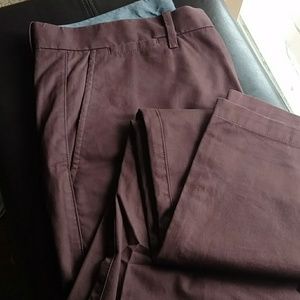 Burgundy pants