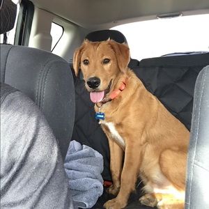 Meet your Posher, Emma